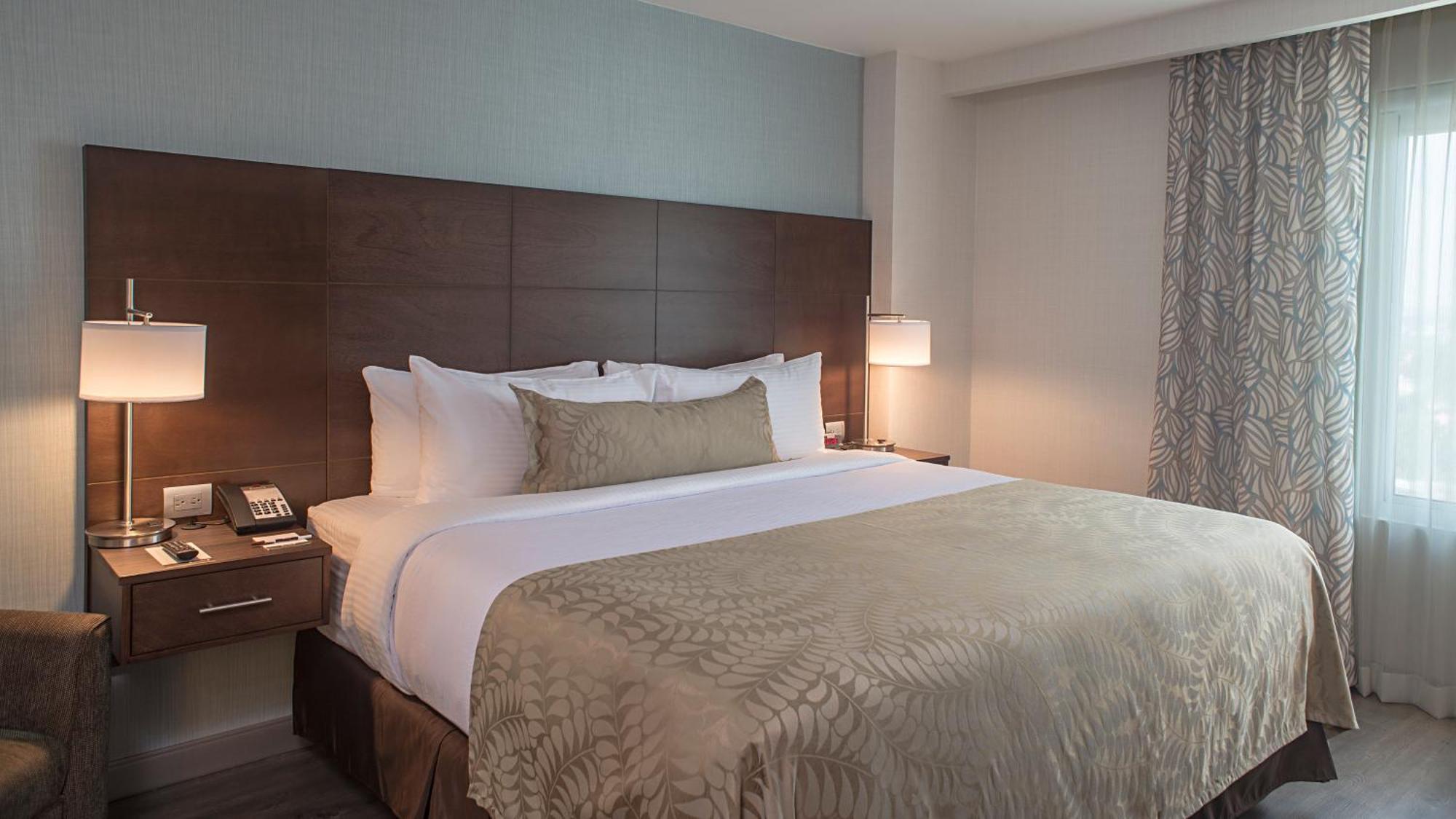 Standard Suite